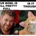 Cats bowl full or empty?