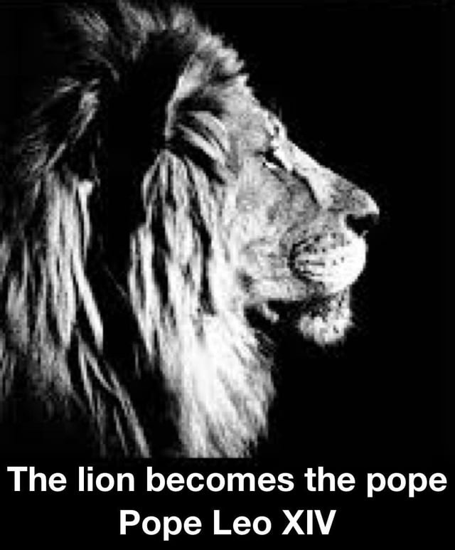 The lion becomes Pope, call him Leo XIV - meme