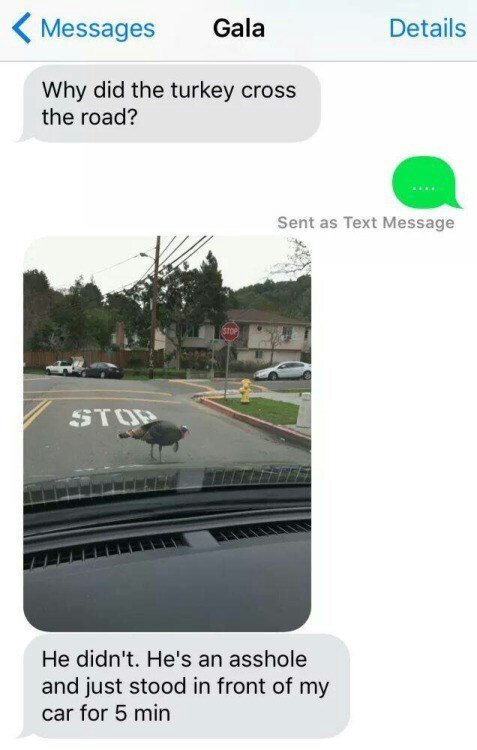 Turkeys are assholes - meme