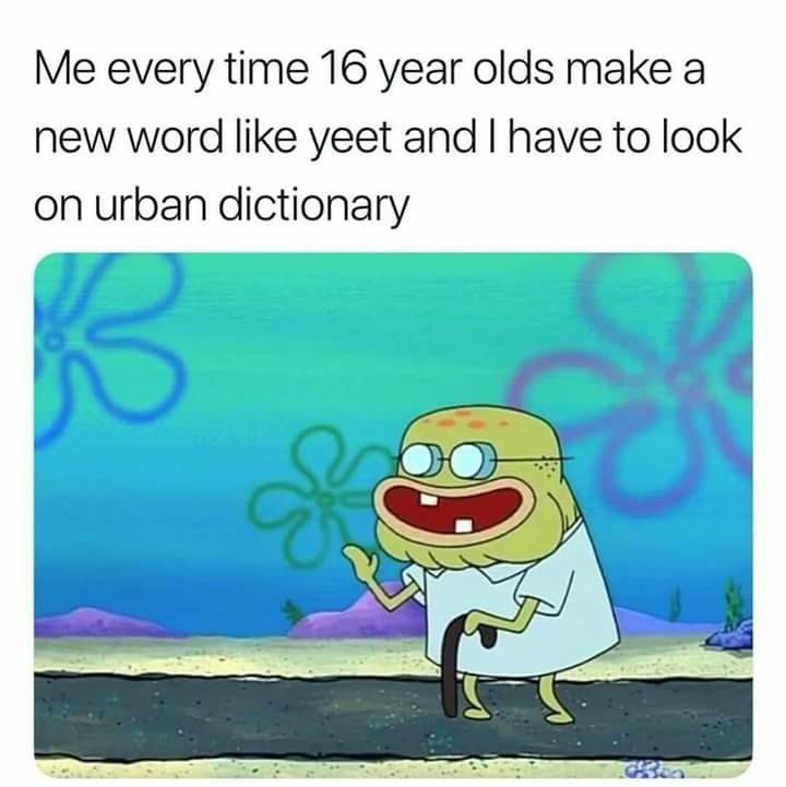 Darn kids these days and their new fangled words - meme