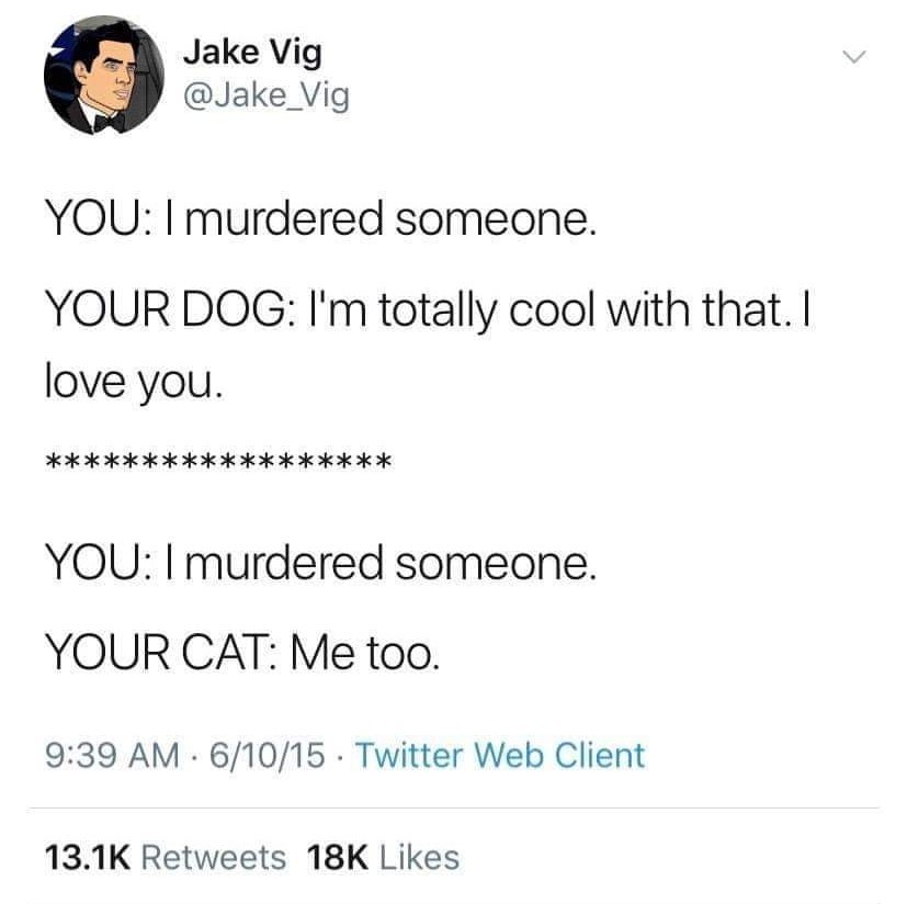Dogs vs cats - meme