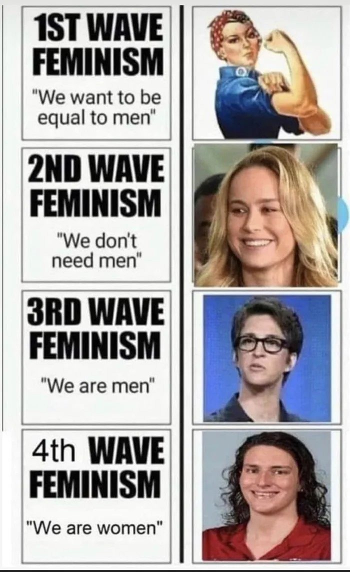 Evolution of feminism - meme