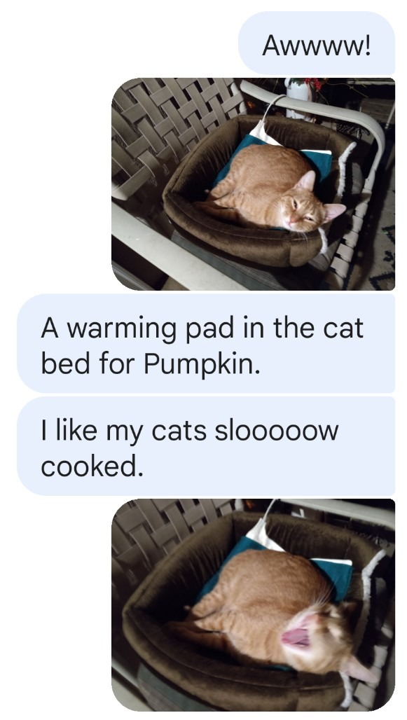 Pumpkin Pie - meme