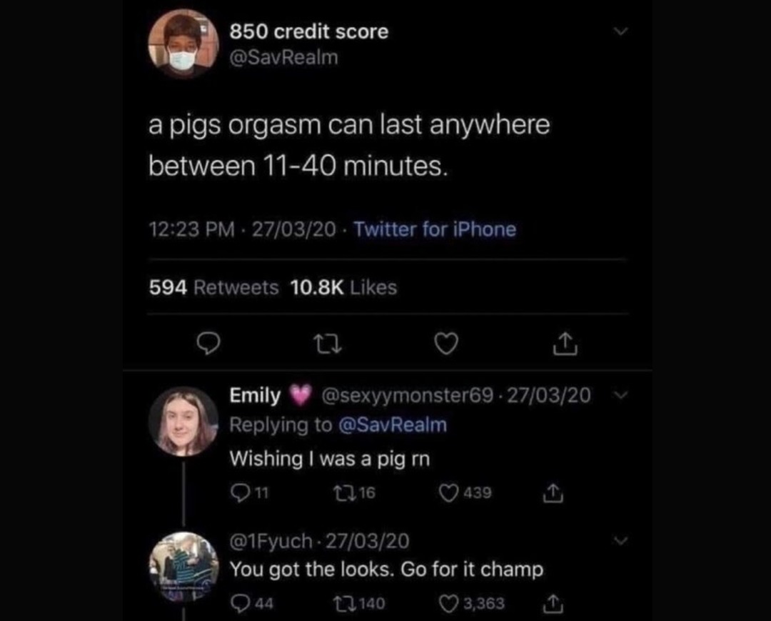 Pigs - meme