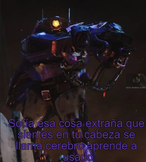 cuando Sofía sea inteligente - meme