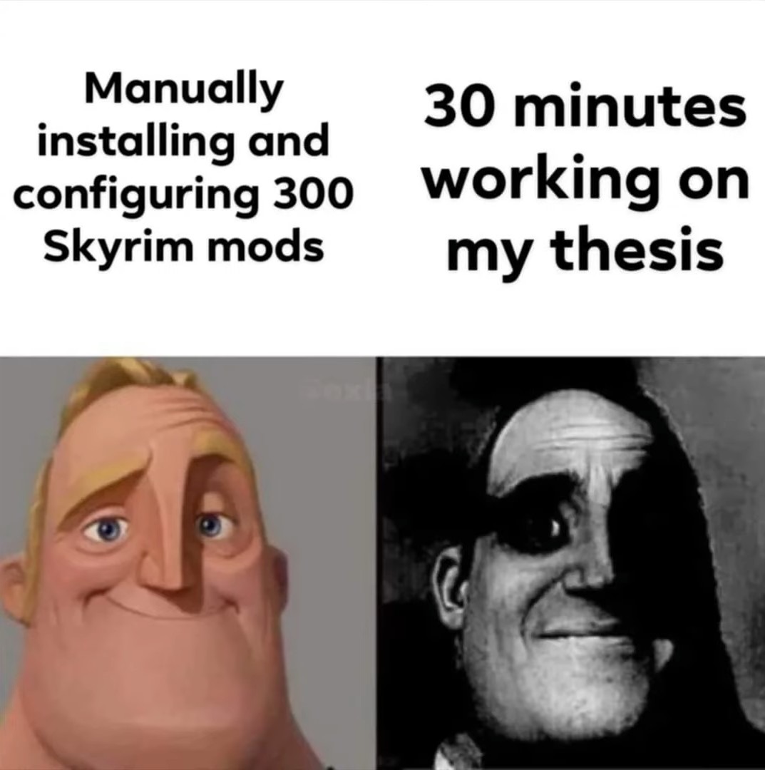 Setting up skyrim mods takes forever but damn is it worth it. - meme
