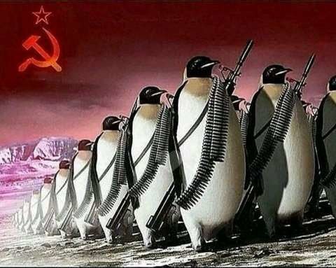 Man son literalmente pingüinos nazis - meme