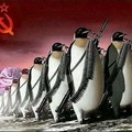 Man son literalmente pingüinos nazis
