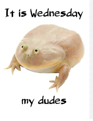 It is Wednesday my dudes!! :sir: - meme