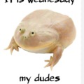 It is Wednesday my dudes!! :sir: