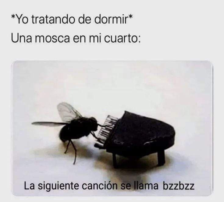 En mi caso son los vecinos - meme
