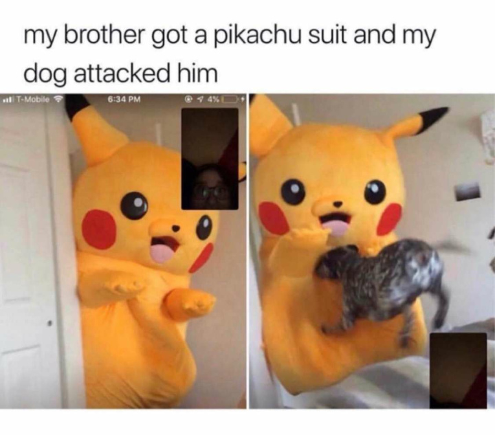 Doggo used quick attack! - meme