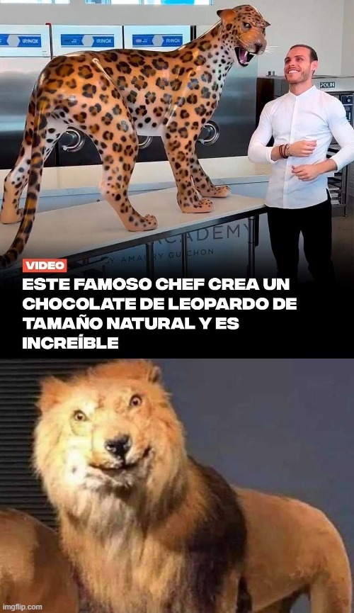 Leopardo de chocolate - meme