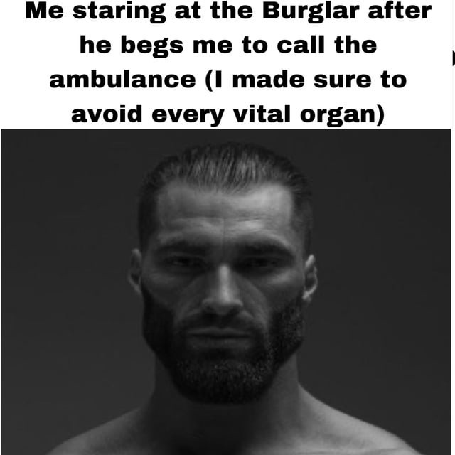 Burglar meme