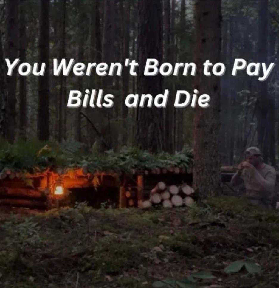 you weren't born to pay bills and die - meme