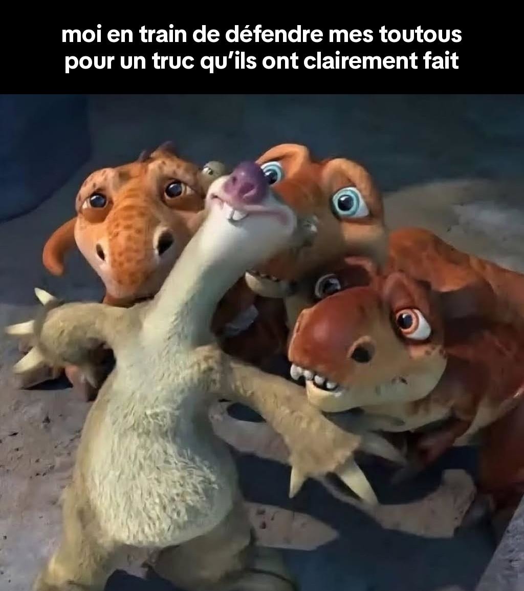 Je défends mes chiens comme si c'était des anges... alors que c'est eux les coupables - meme