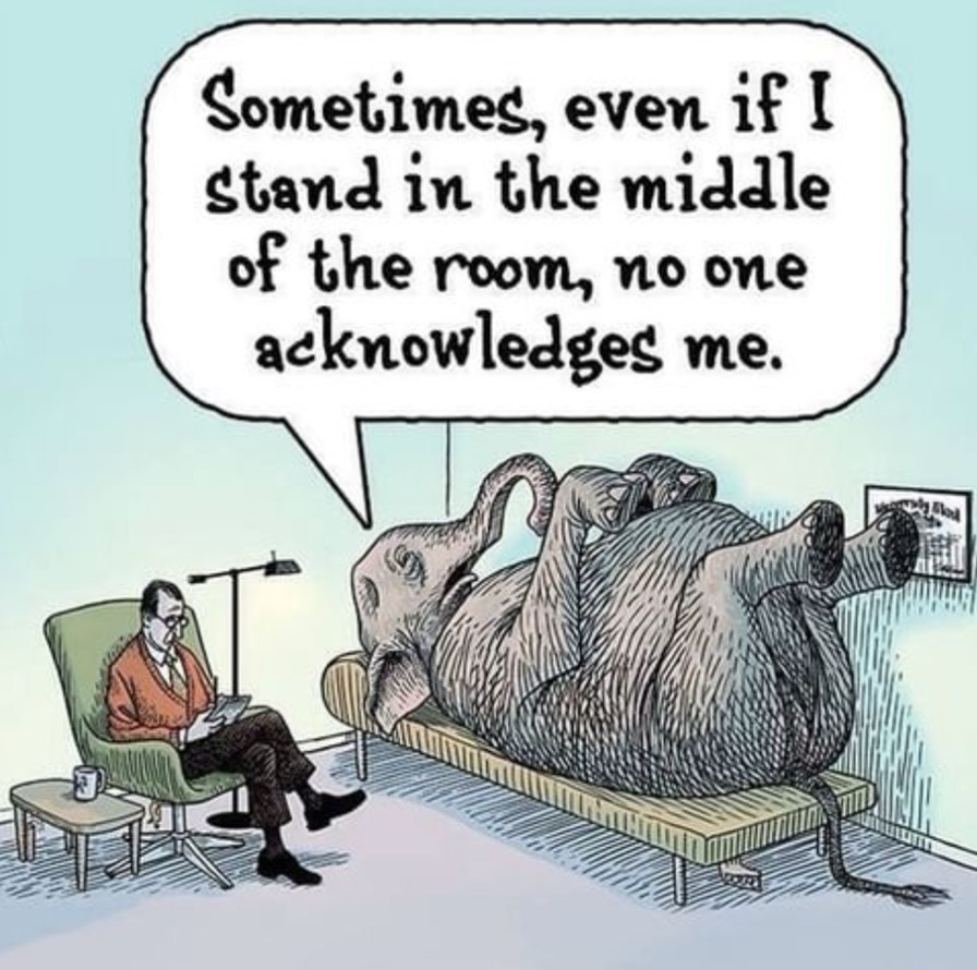 The elephant is in the room but no one is noticing it - meme