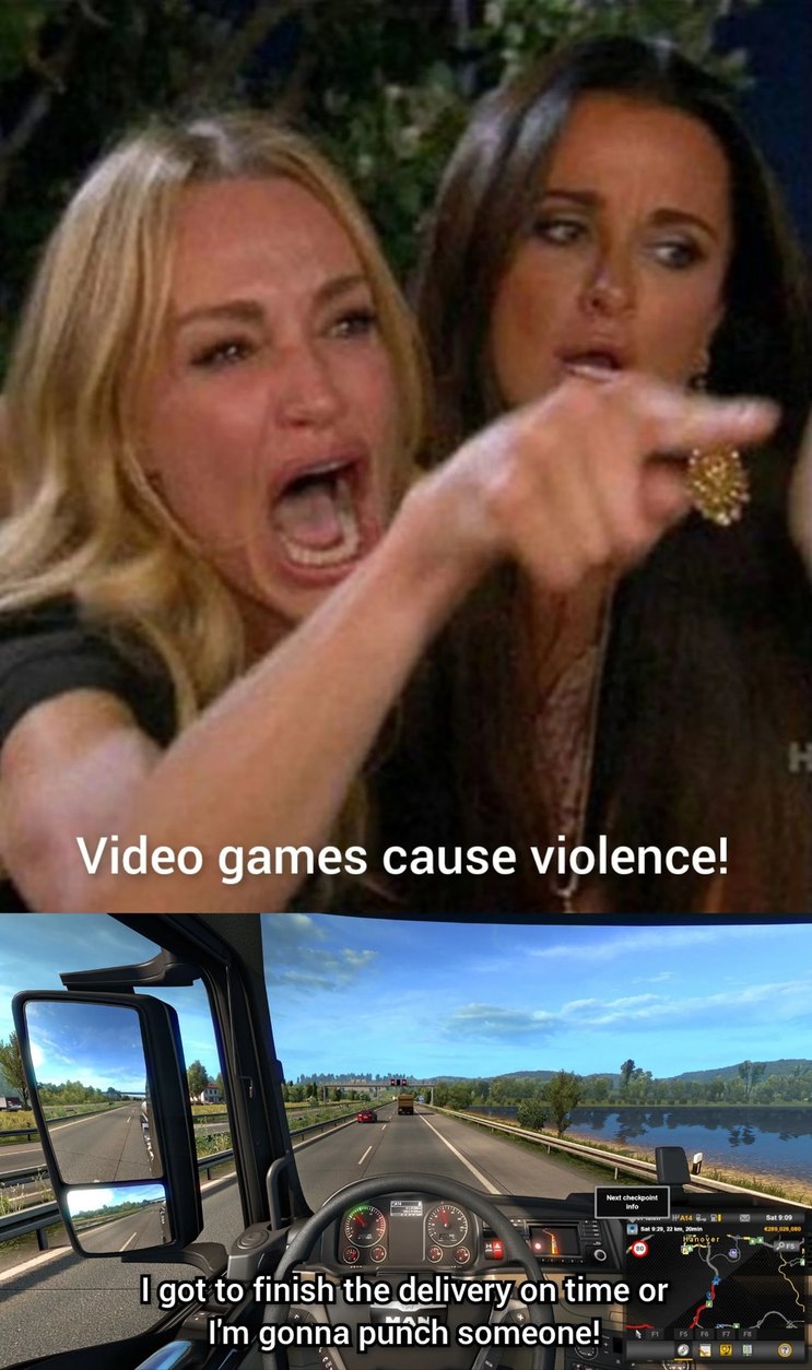 Call of Duty makes people violent? Try Euro Truck Simulator 2! - meme
