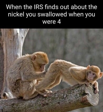 IRS - meme