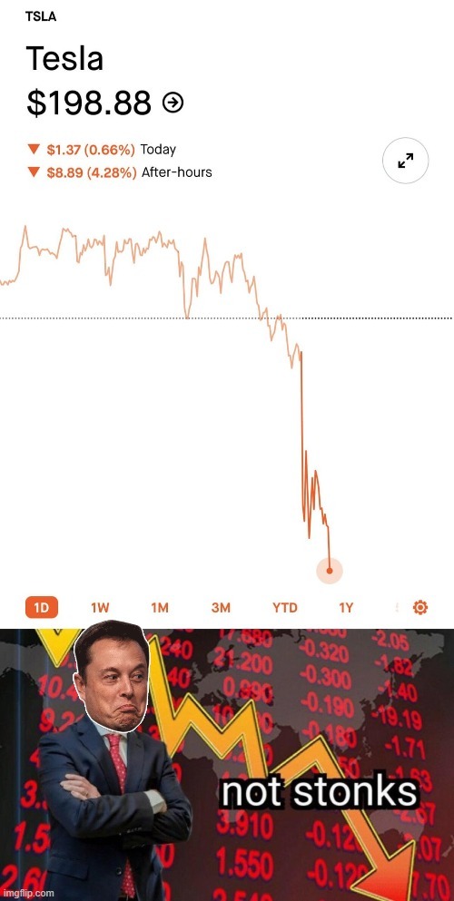 Tesla stock meme 2024