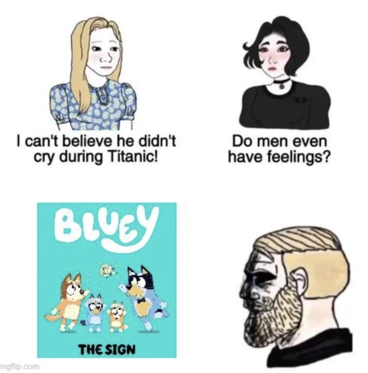 Bluey series finale meme