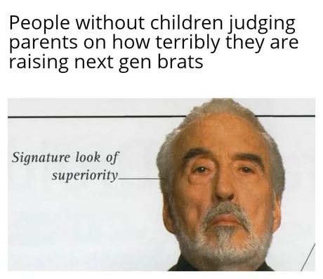 People without children judging parents - meme