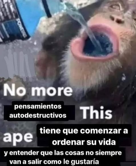 No más pensamientos autodestructivos - meme
