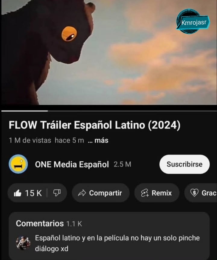 Gato Flow - meme