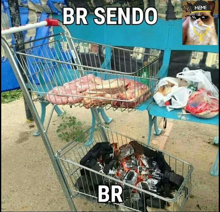 O melhor do brasil e o brasileiro - meme
