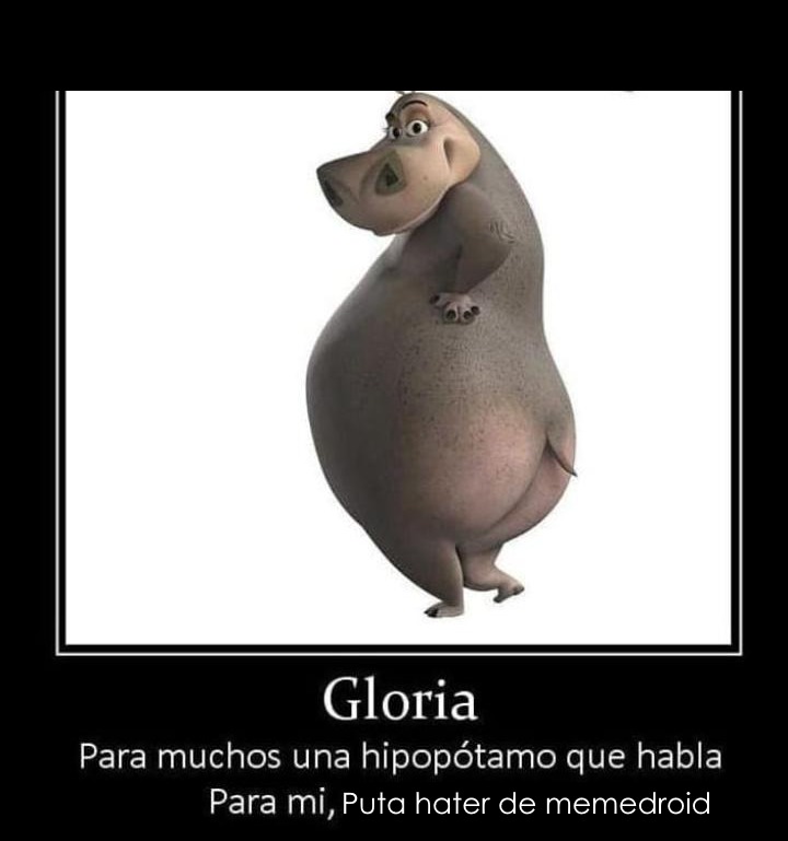 gloria - meme