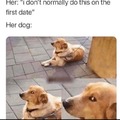 The dog knows