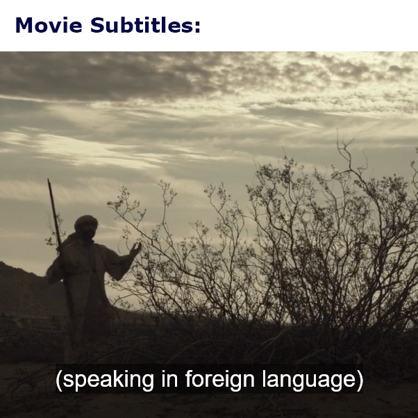 Movie Subtitles - REALLY!!! - meme