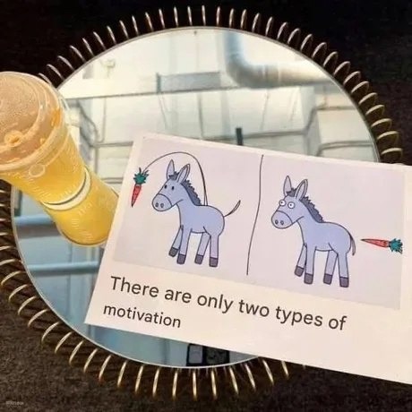 Two types of motivation - meme
