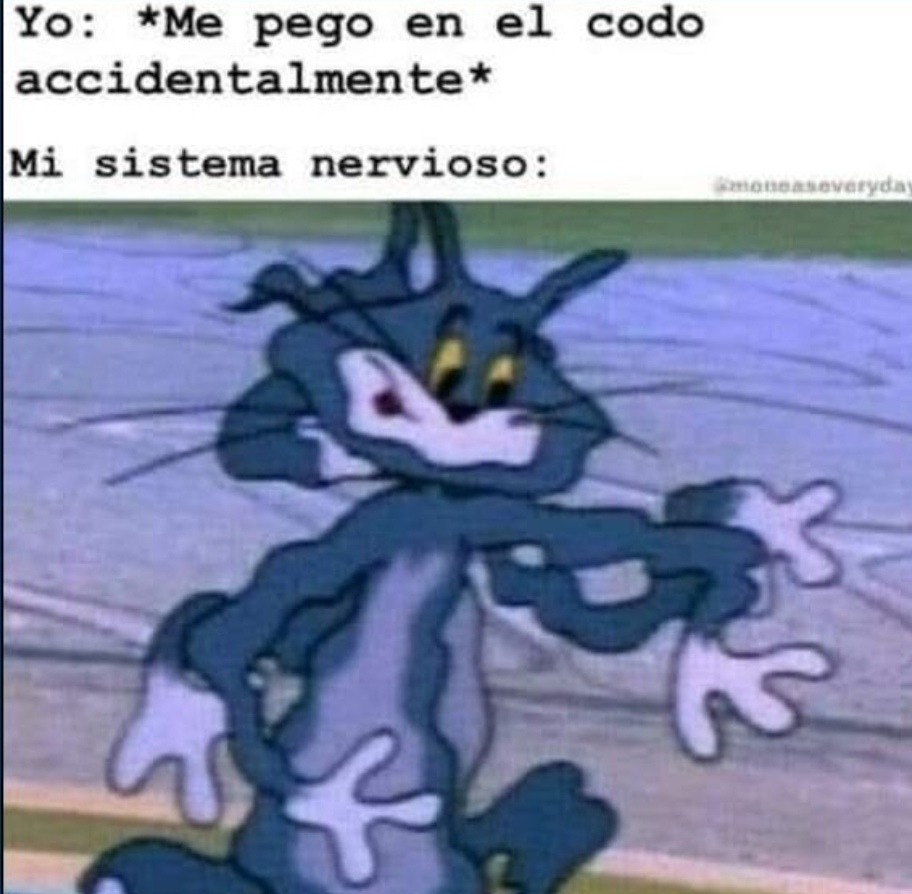 Golpe en el codo nivel reiniciar el sistema nervioso - meme