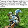 Squirrels are cool