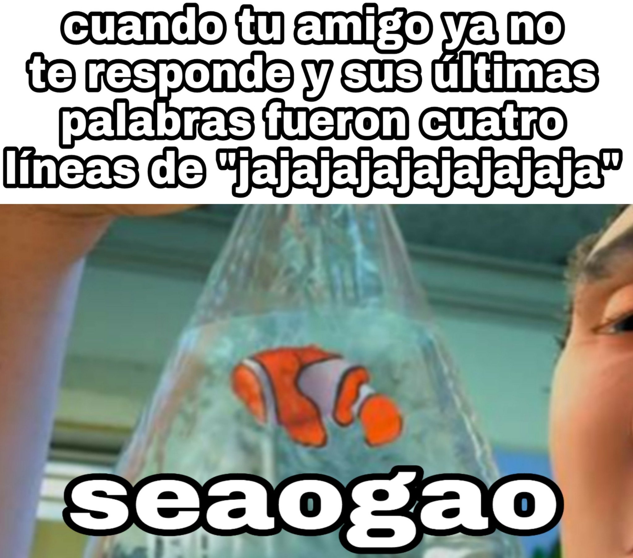 Nemo seaogao - meme
