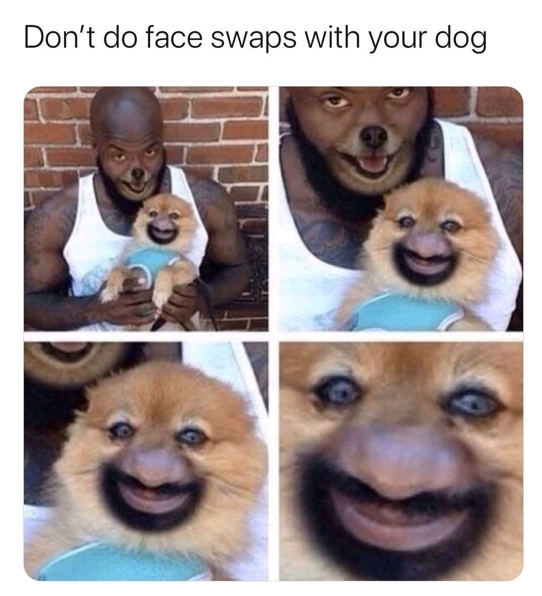 Face Swap - meme