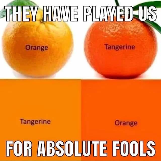 WHAT? Orange is tangerine and tangerine is orange - meme