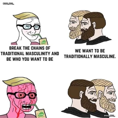 Masculinity is fine - meme