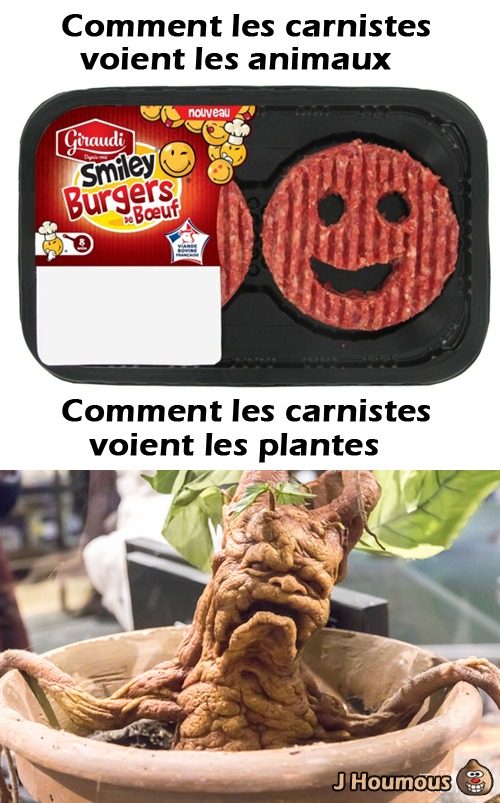 "Non mais j'veux pas les voir tes vidéos ... Non mais les plantes souffrent aussi" - meme