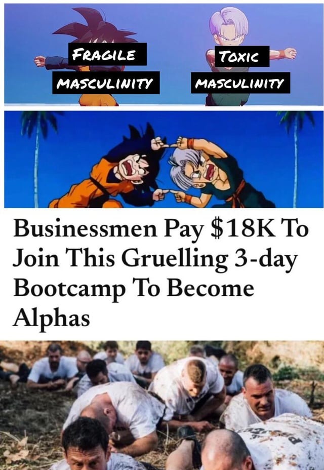 Alpha bootcamp - meme