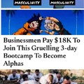 Alpha bootcamp