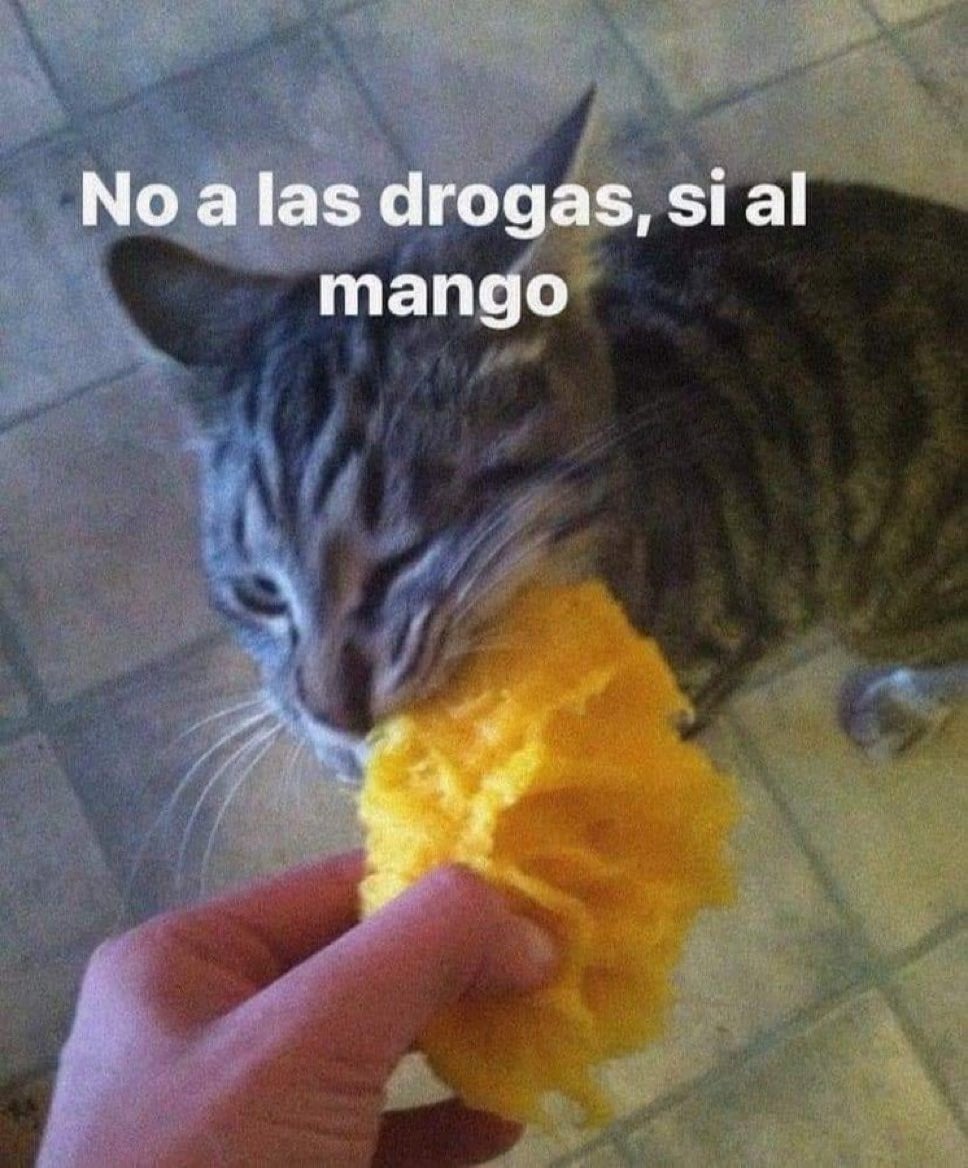 No a las drogas - meme