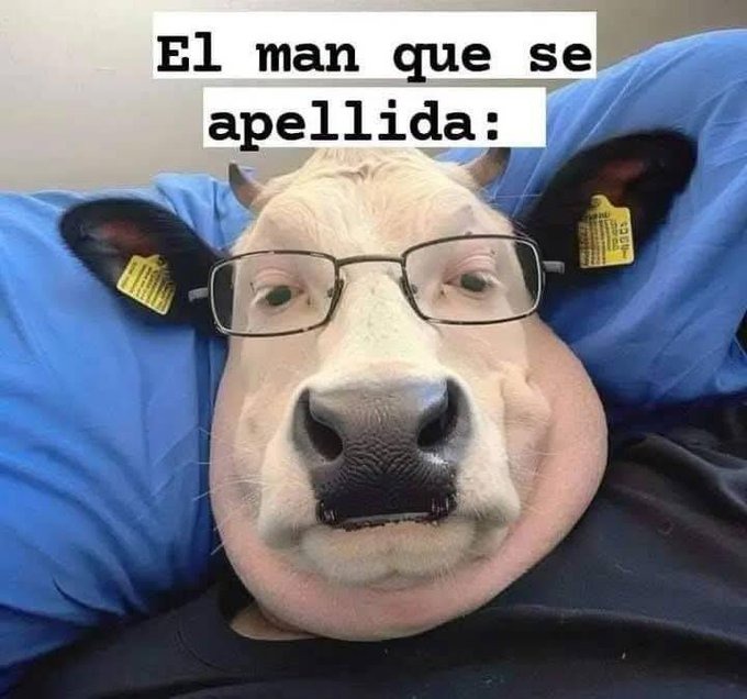 El vacas - meme