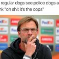 Do regular dogs see police dogs and think 'oh shit it's the cops'?