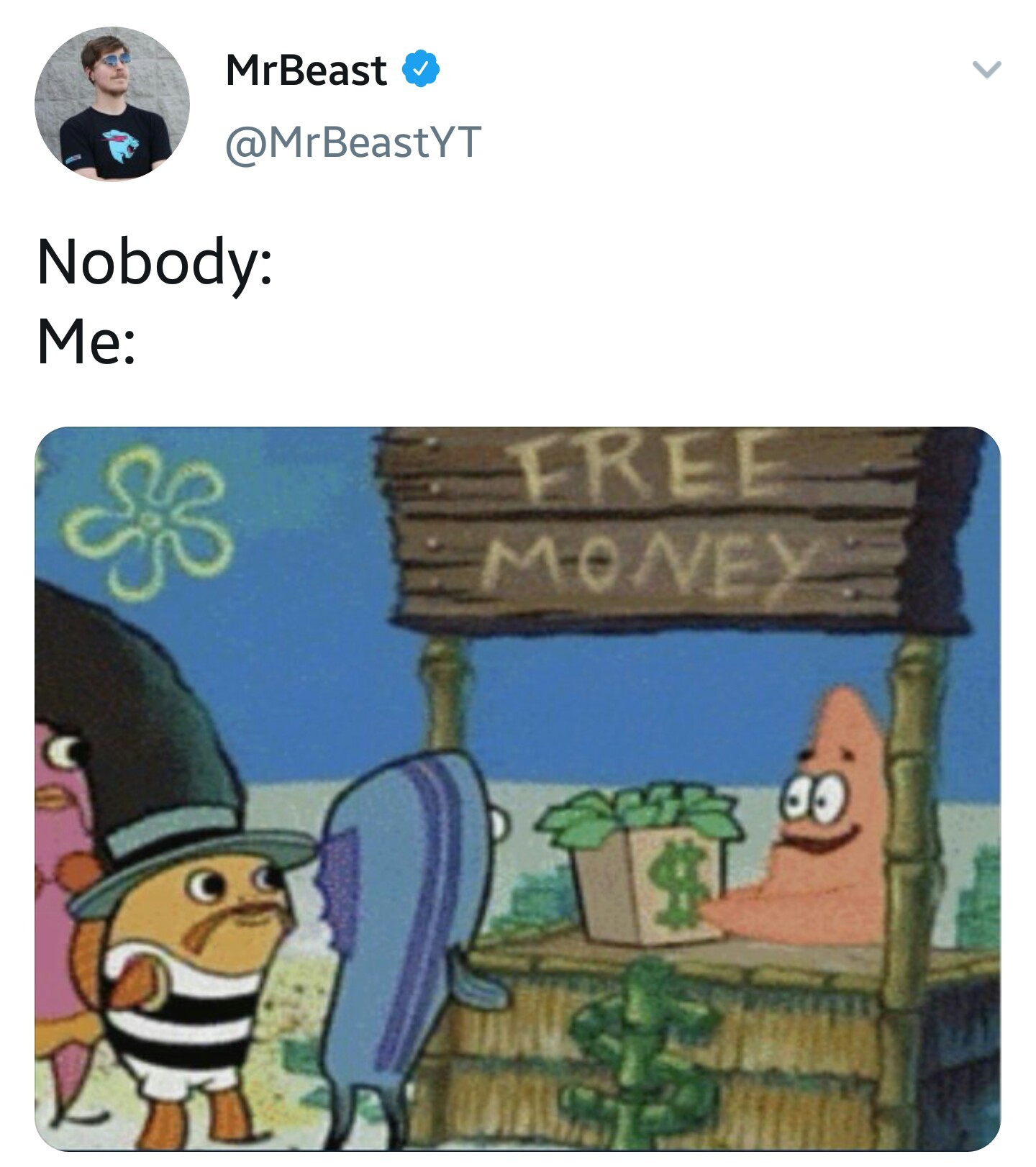 Mr beast pls give me money - meme