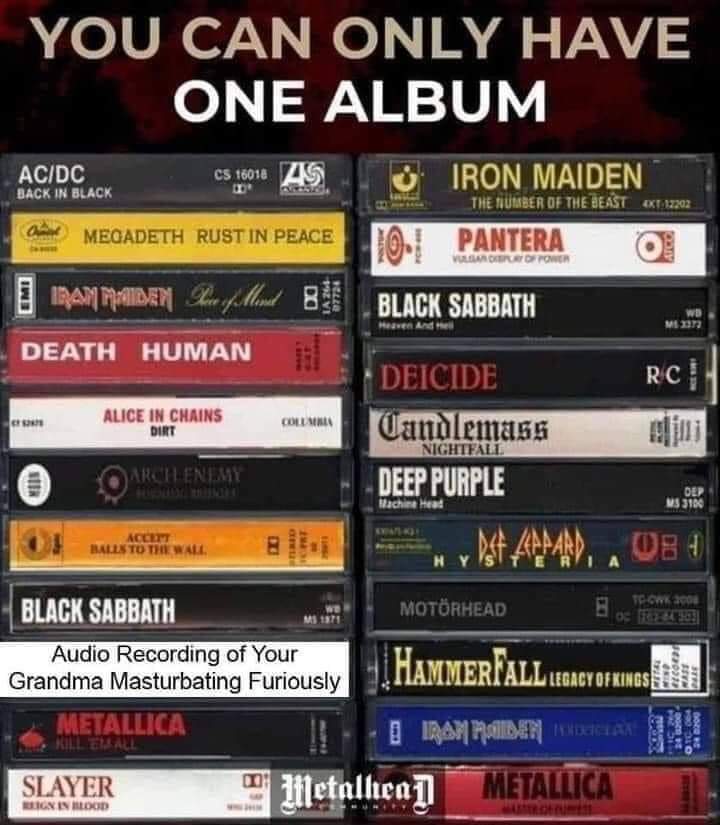 Family comes first. My second choice would be either megadeth or iron maiden - meme