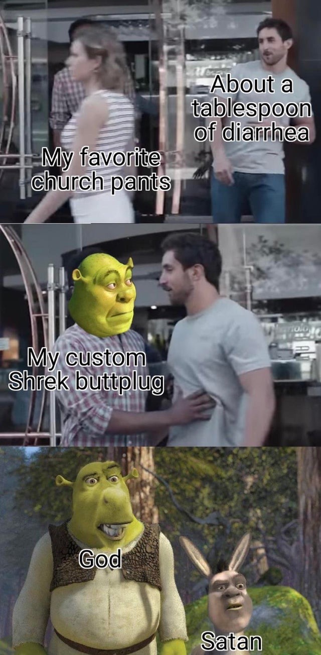 I too have a custom Shrek butt plug - meme