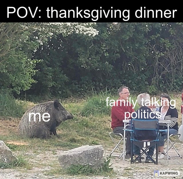 thanksgiving dinner - meme