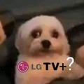 LGTV?